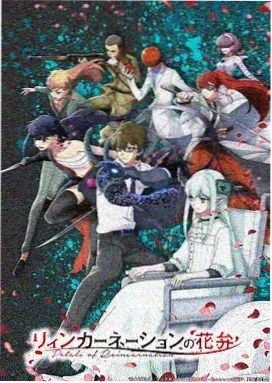 星辰动画剧场 动漫免费